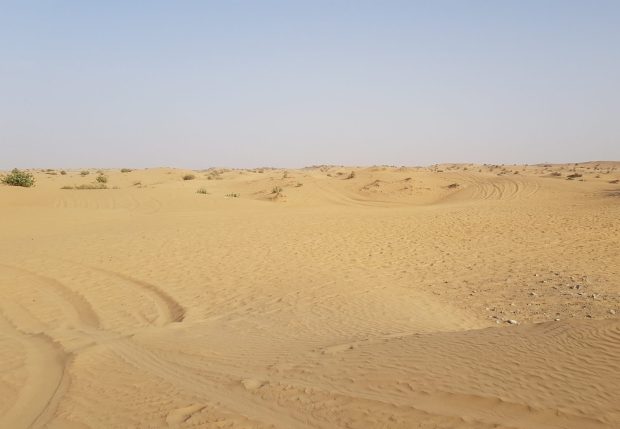 Wüste Dubai