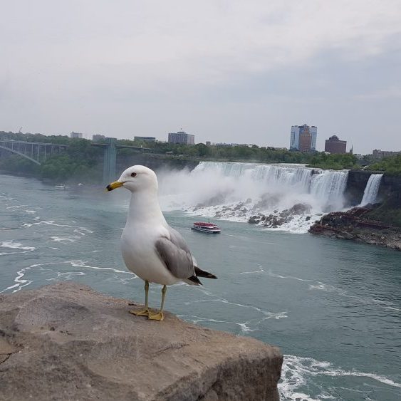 Niagarafälle Kanada