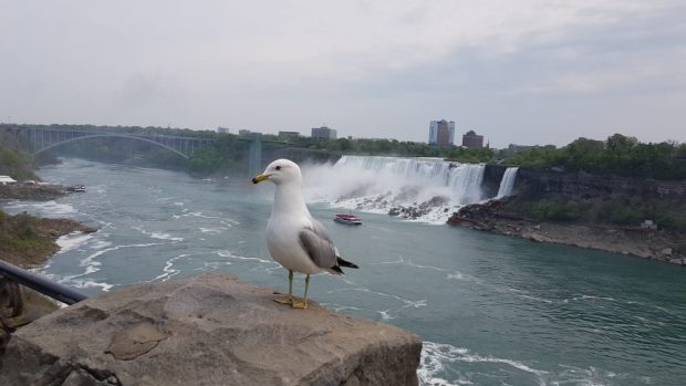 Niagarafälle Kanada