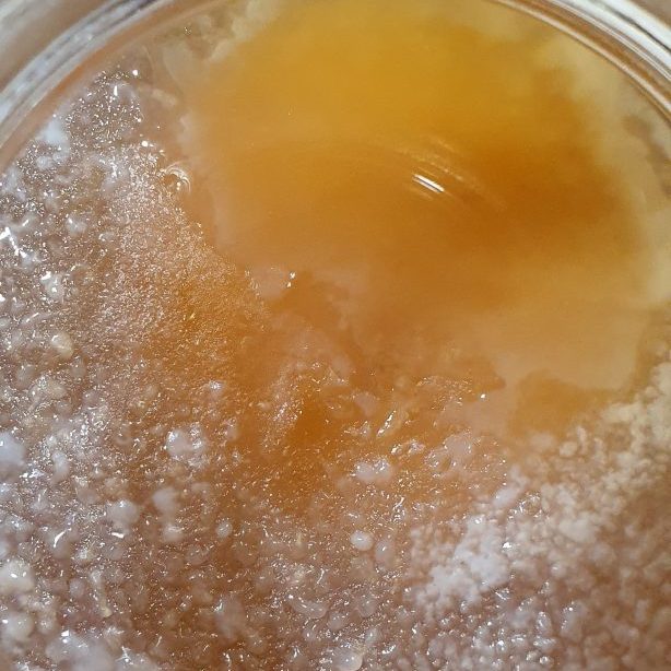 Kombucha - Scooby Oberfläche