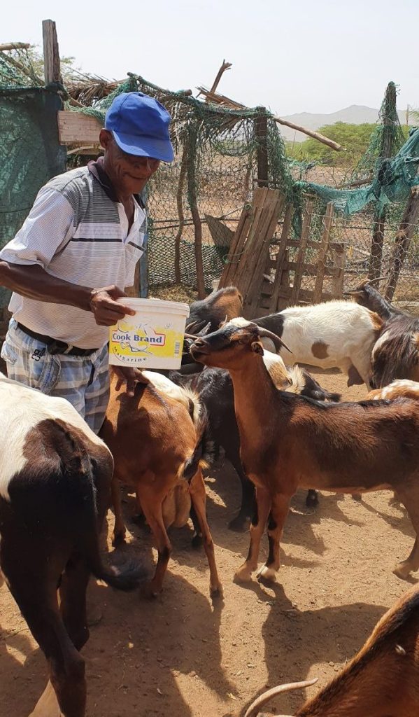 Ziegenfarm Boa Vista