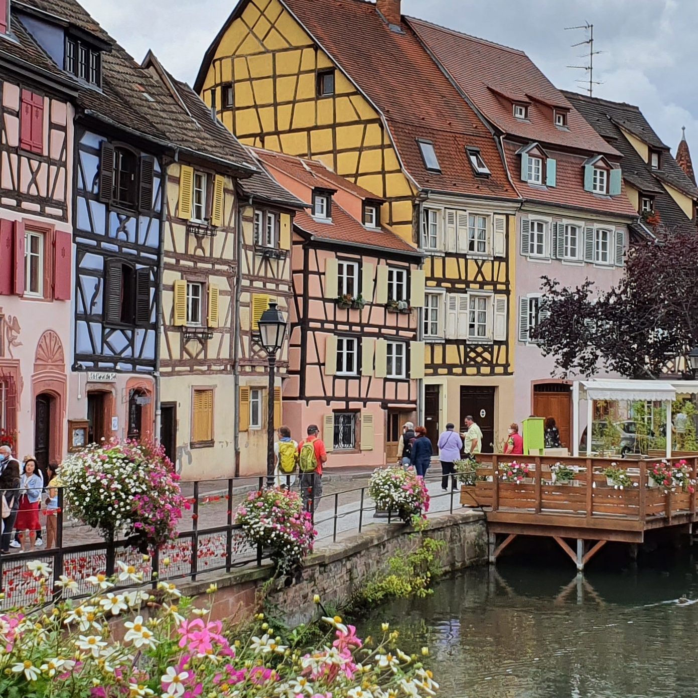 Colmar
