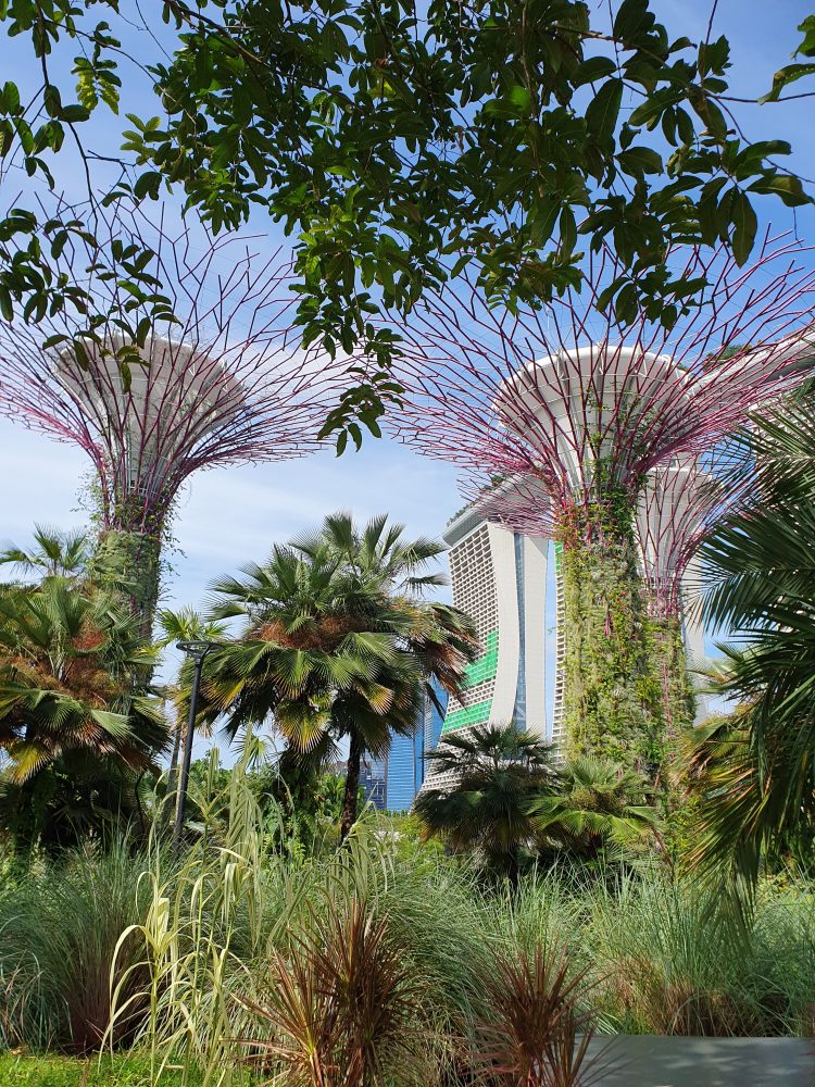 Gardens by the Bay