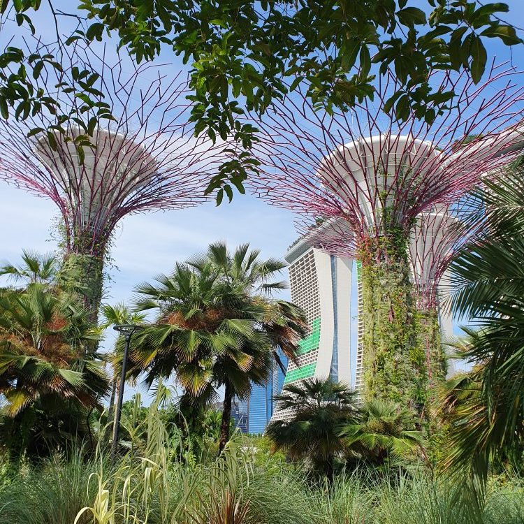 Gardens by the Bay