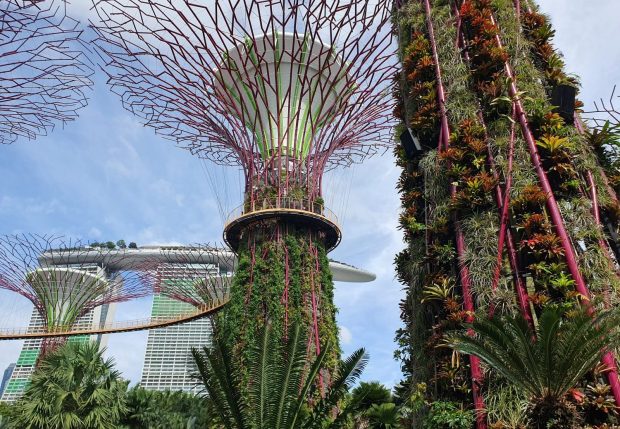 Gardens by the Bay