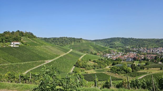 Weinberge Deutschland