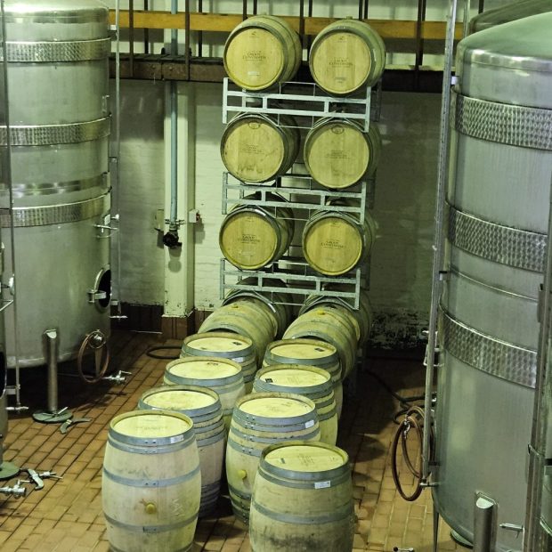 Weinbereitung Groot Constantia