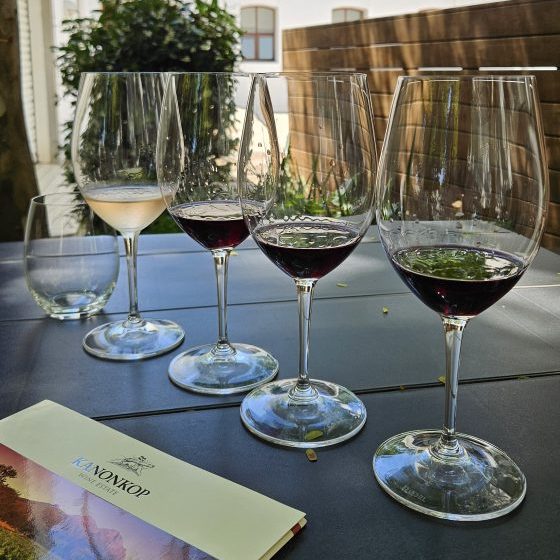 Weinverkostung Kanonkop Südafrika