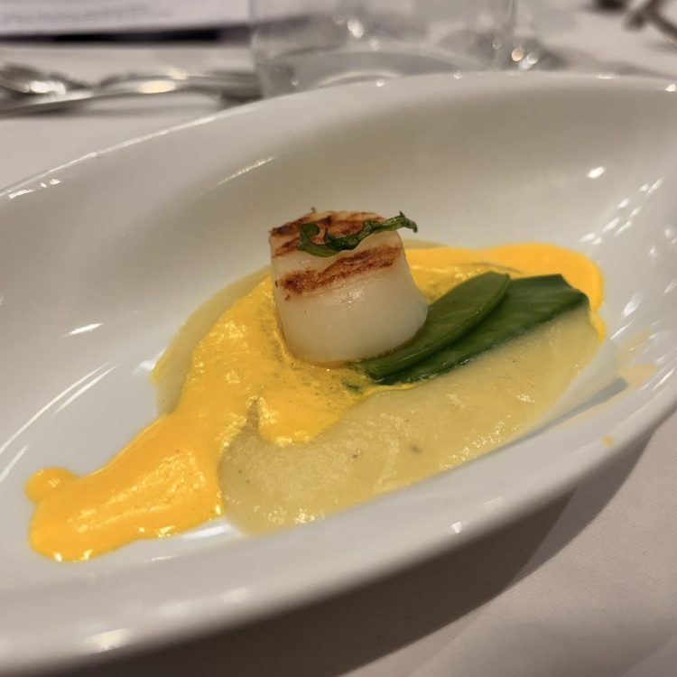 Jakobsmuschel Viva One