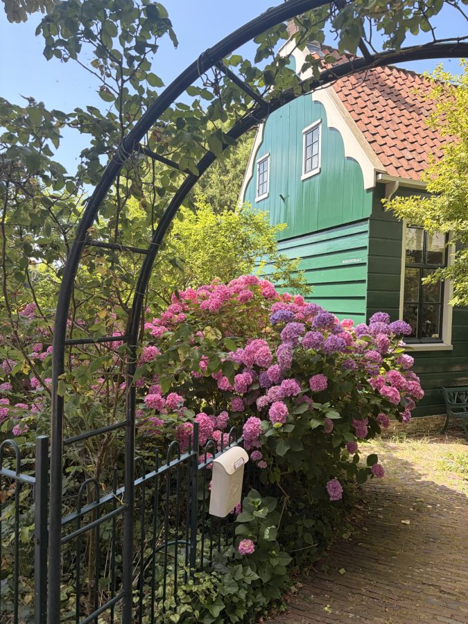 zaanstreek